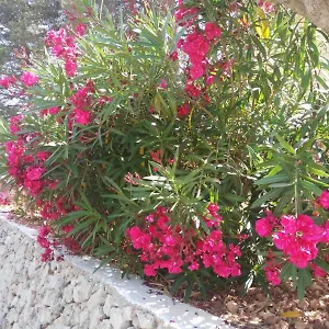  Apartamento Cala Galdana Beach